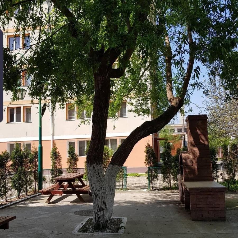 Garsoniere Aby Διαμέρισμα Turnu Măgurele Εξωτερικό φωτογραφία